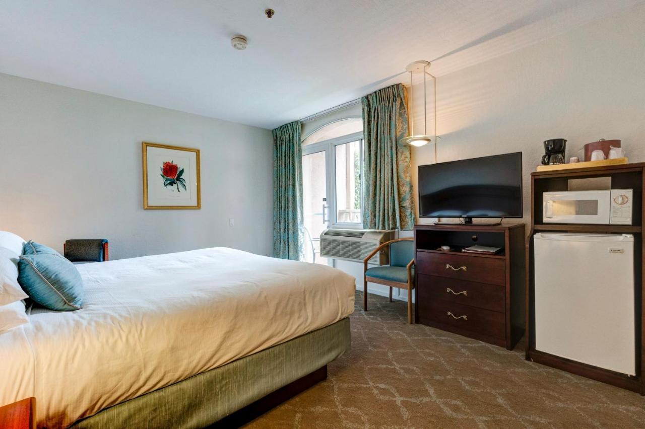 Standard King Accessible Room