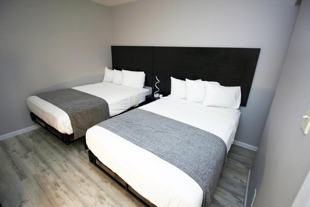 One-Bedroom Suite Sofa Bed