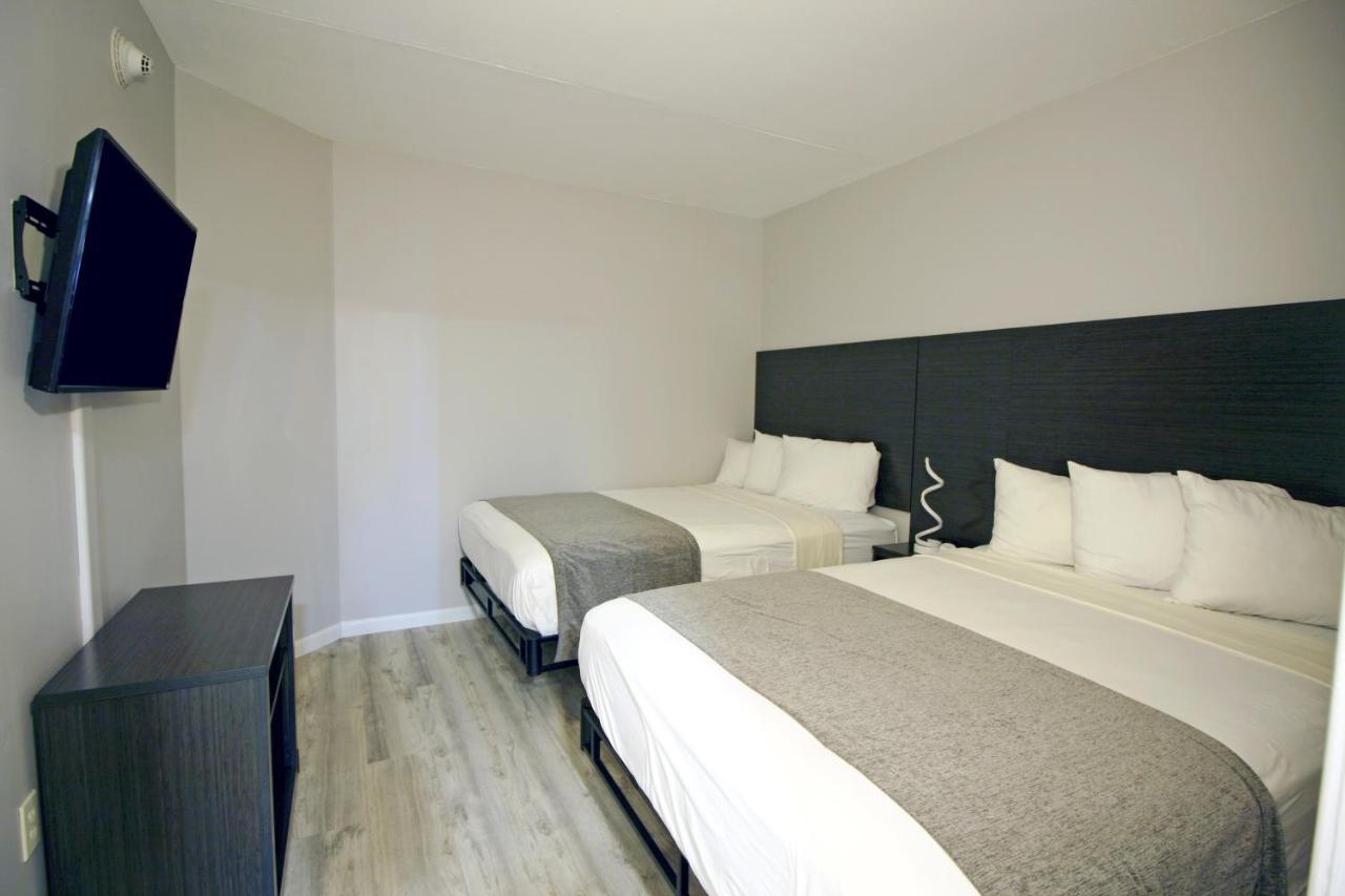 One-Bedroom Suite Sofa Bed