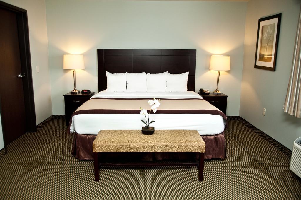 One-Bedroom King Suite - Non-Smoking