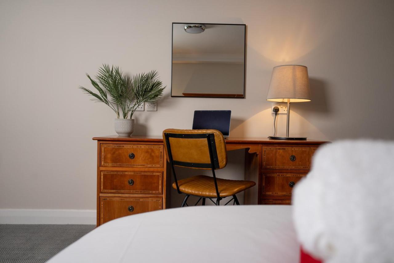Larger Double Studio Suite with Sofa Bed - Non-Smoking