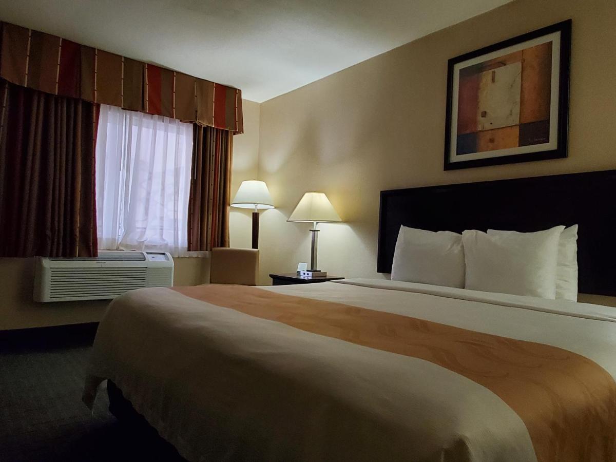 Standard Room, 1 King Bed, Accessible Roll-In Shower, Non Smoking