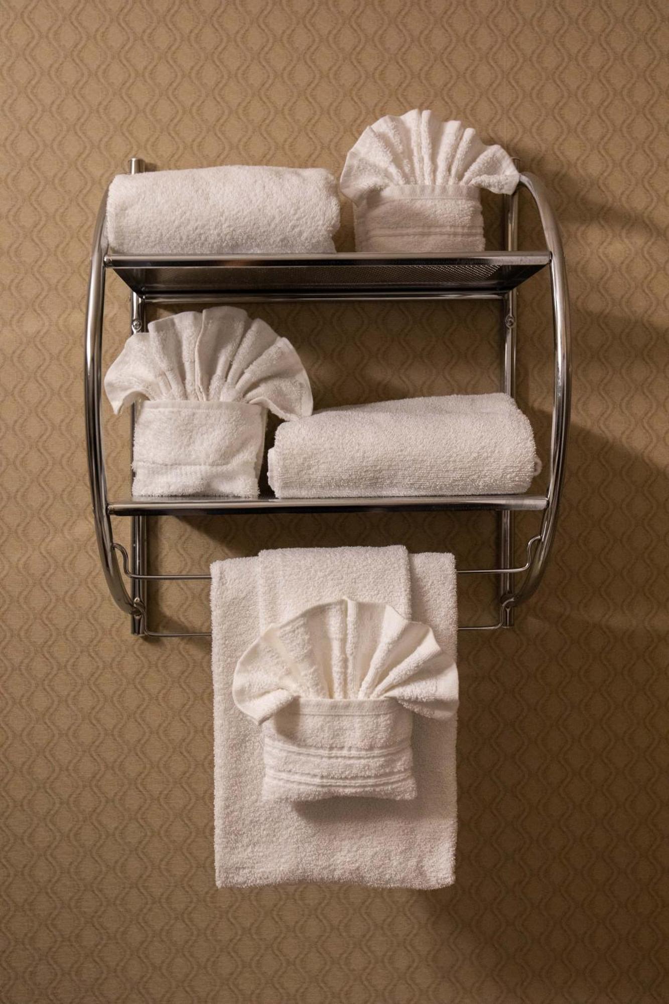 One King Bed Presidential Spa Tub Suite Non-Smoking
