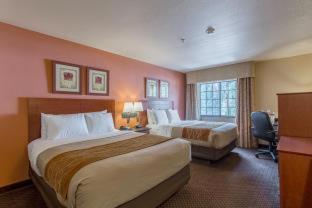 Queen Room Two Queen Beds