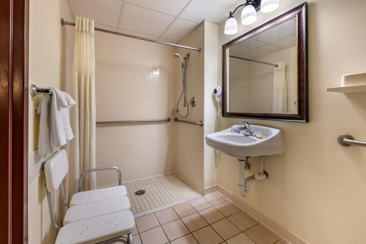 Queen Room with Queen Bed and Single Bed - Roll-In Shower/Disability Access