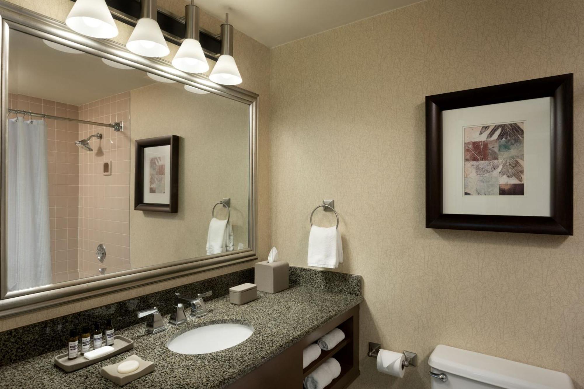 VIP Suite - 1 King or 2 Double Beds