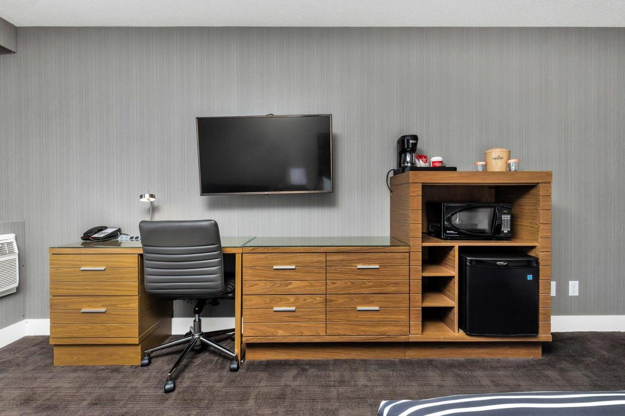 Standard Room, 1 King Bed, Sofa Bed