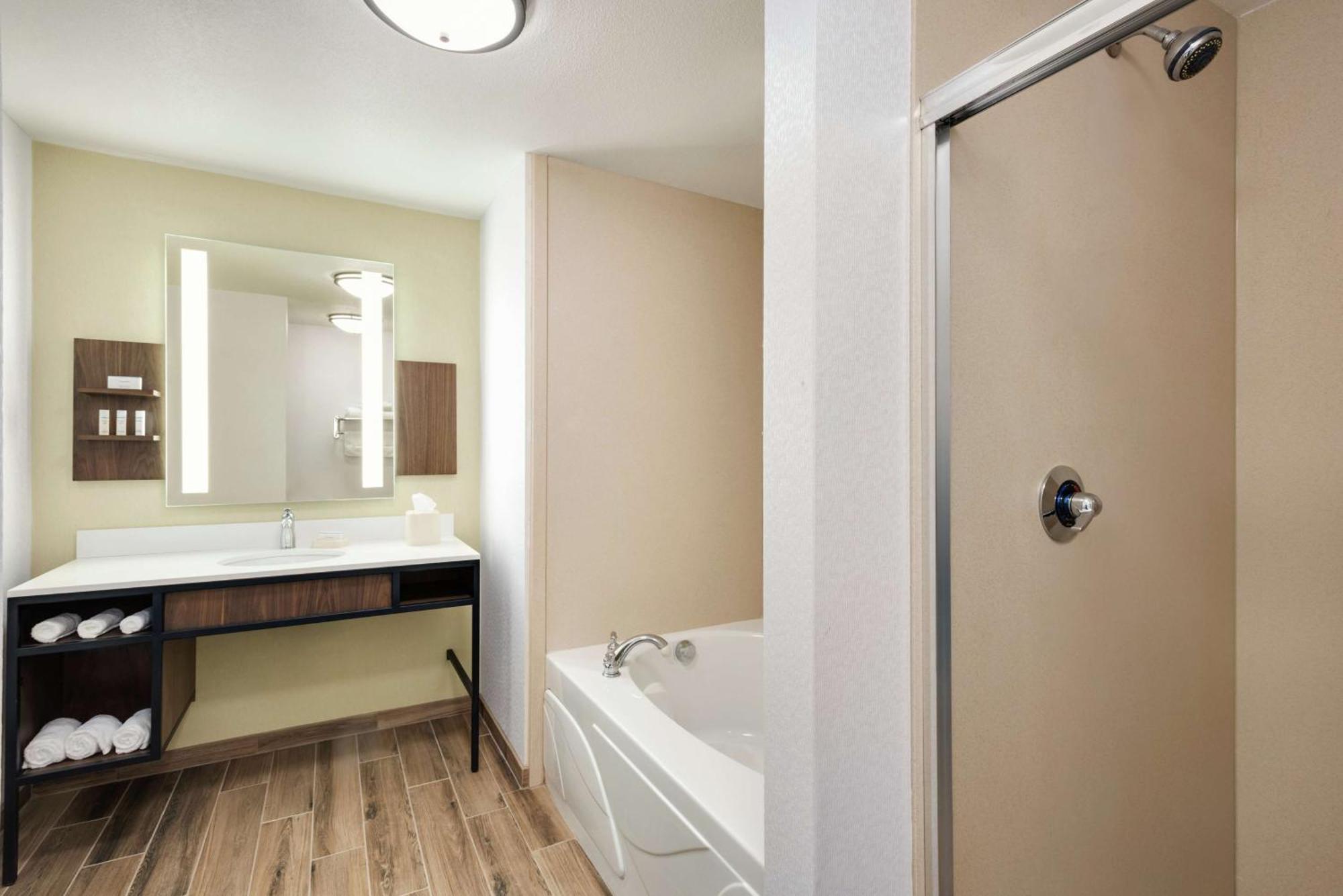 Deluxe One-Bedroom Suite with King Bed