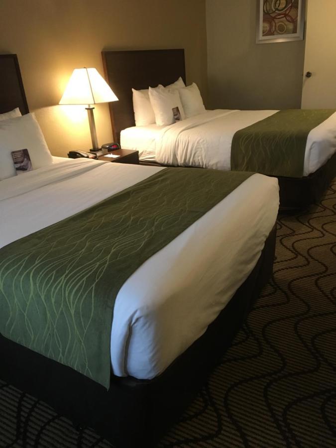 Standard Room 2 Queen Beds Pool View Non Smoking