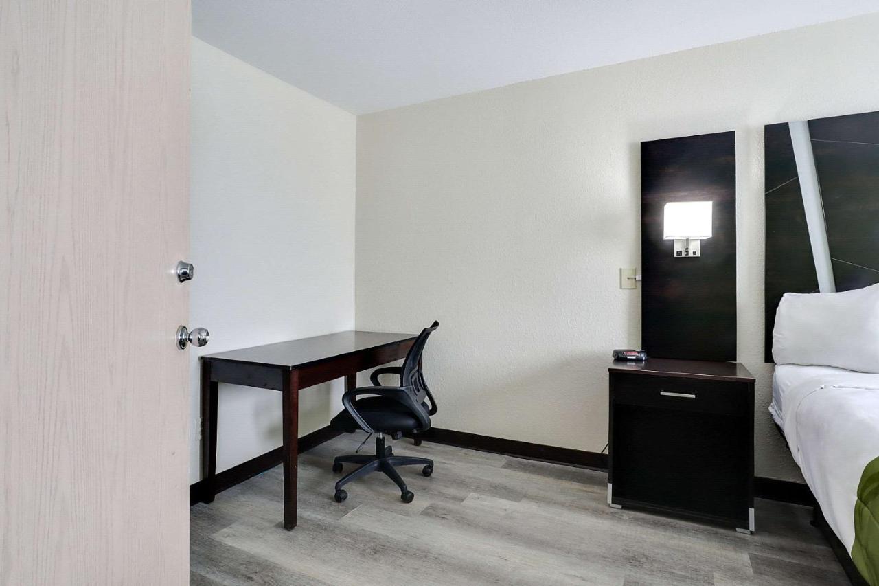 One-Bedroom King Suite