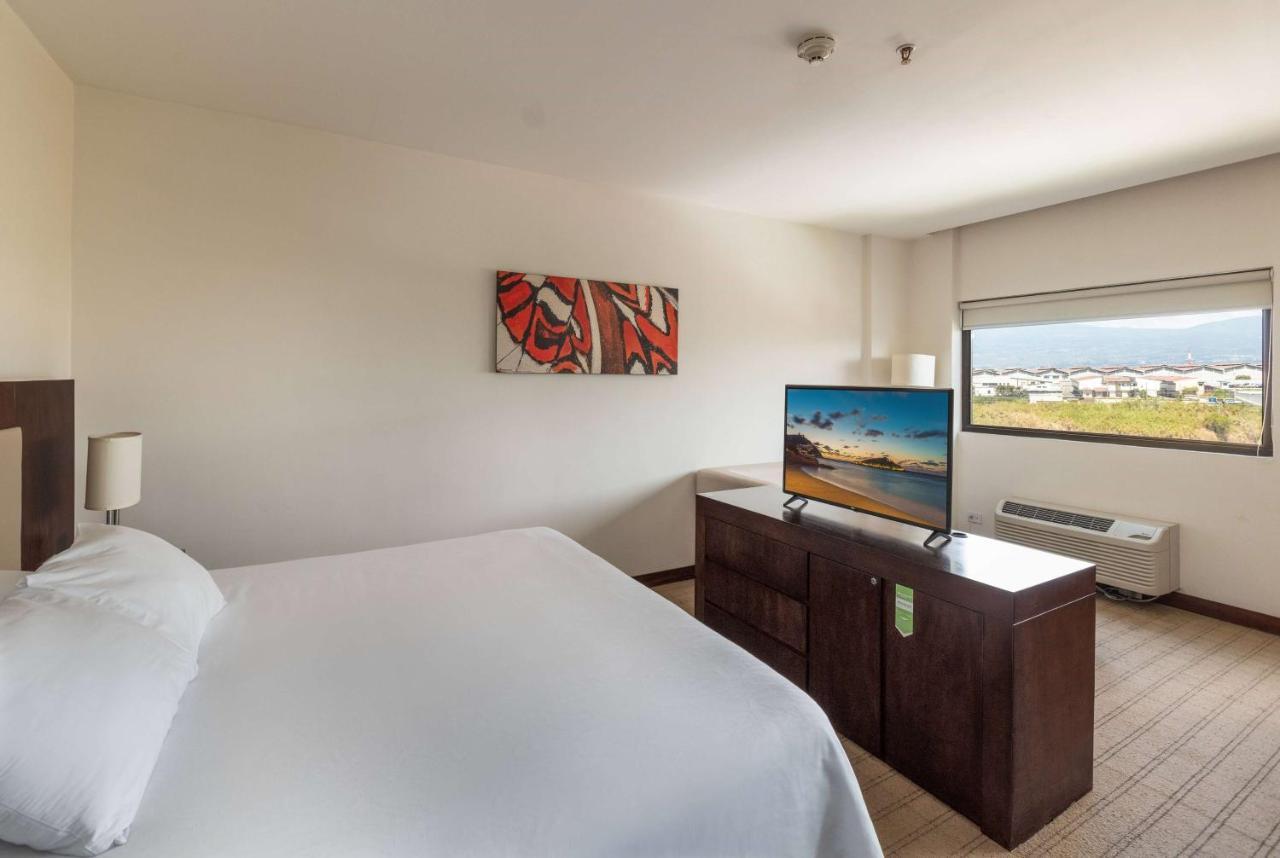 Junior Suite with King Bed - Non-Smoking