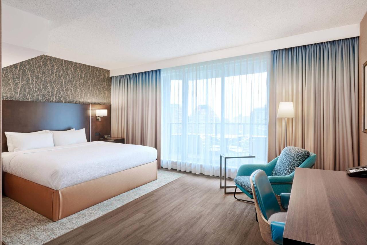 Skyline King Studio Suite