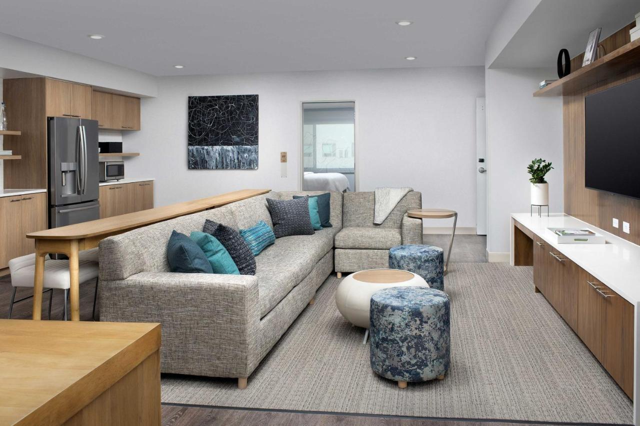 Studio, 1 King, Sofa bed