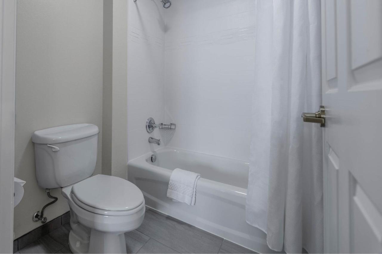 One-Bedroom Queen Suite