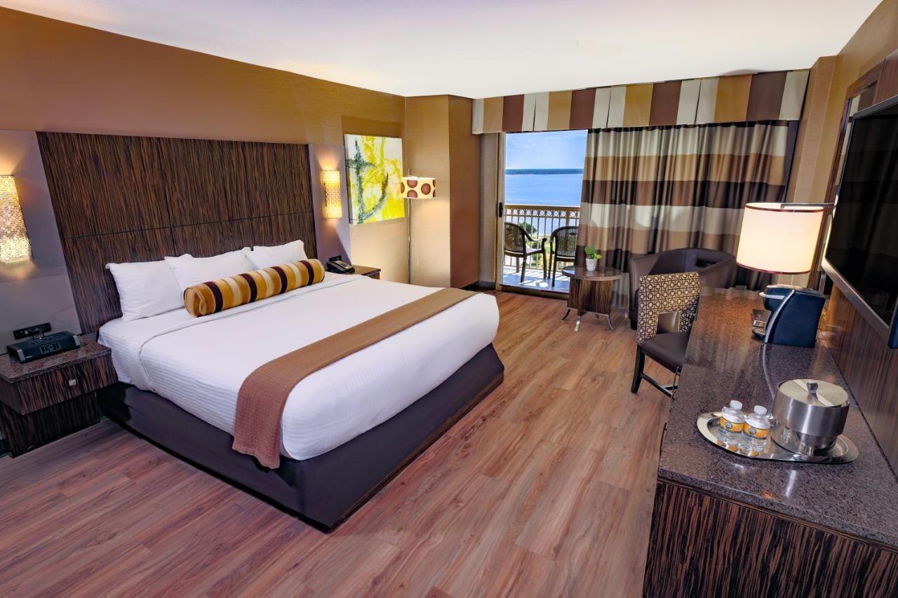 Terrace Room 1 King Bed