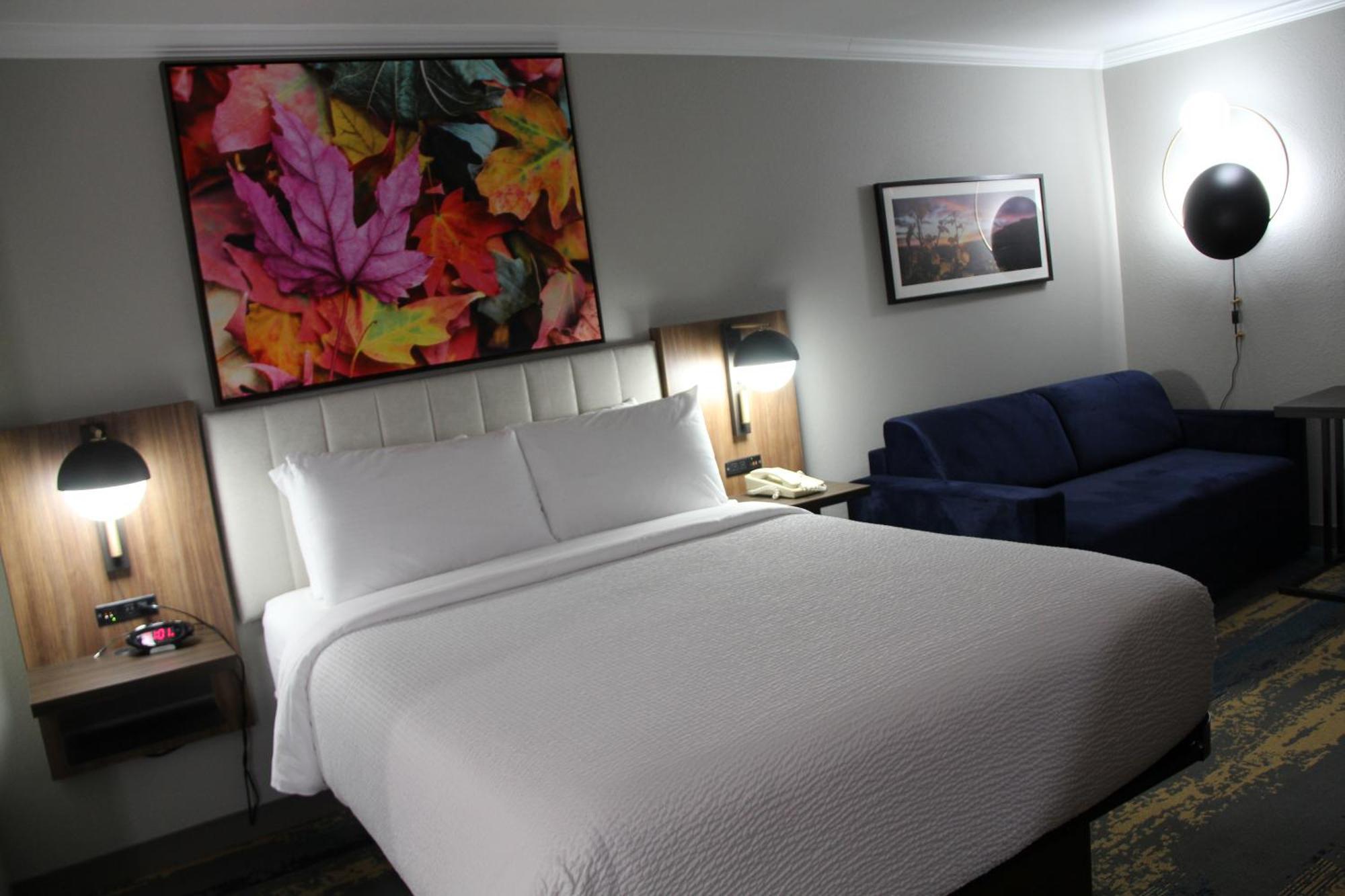 Deluxe Queen Room Sofa Bed Non-Smoking