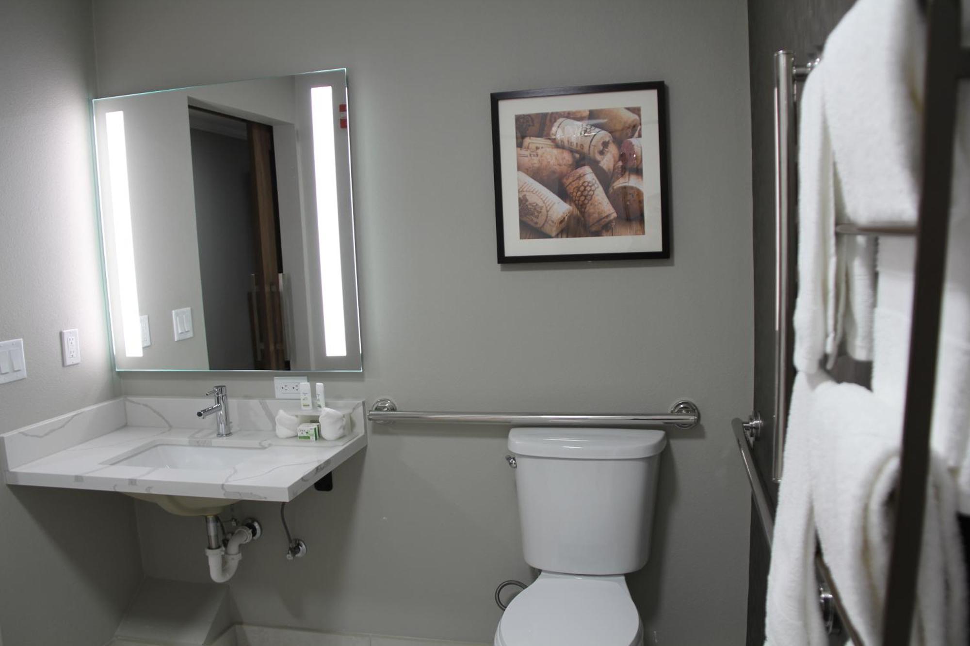King Room Roll Shower Mobility Access or Non-Smoking