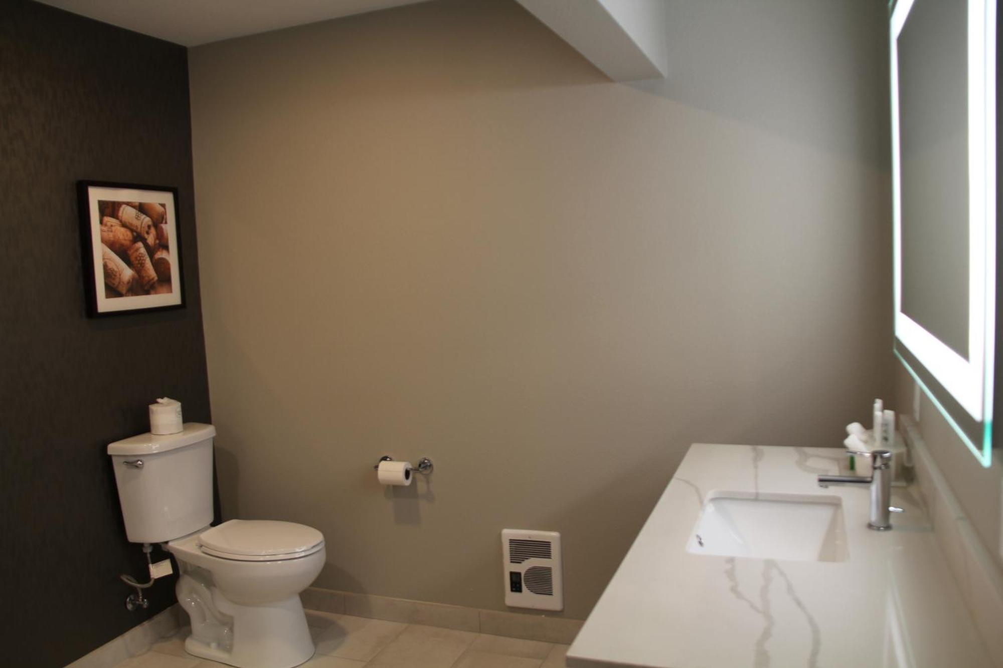 King Studio Suite Non-Smoking