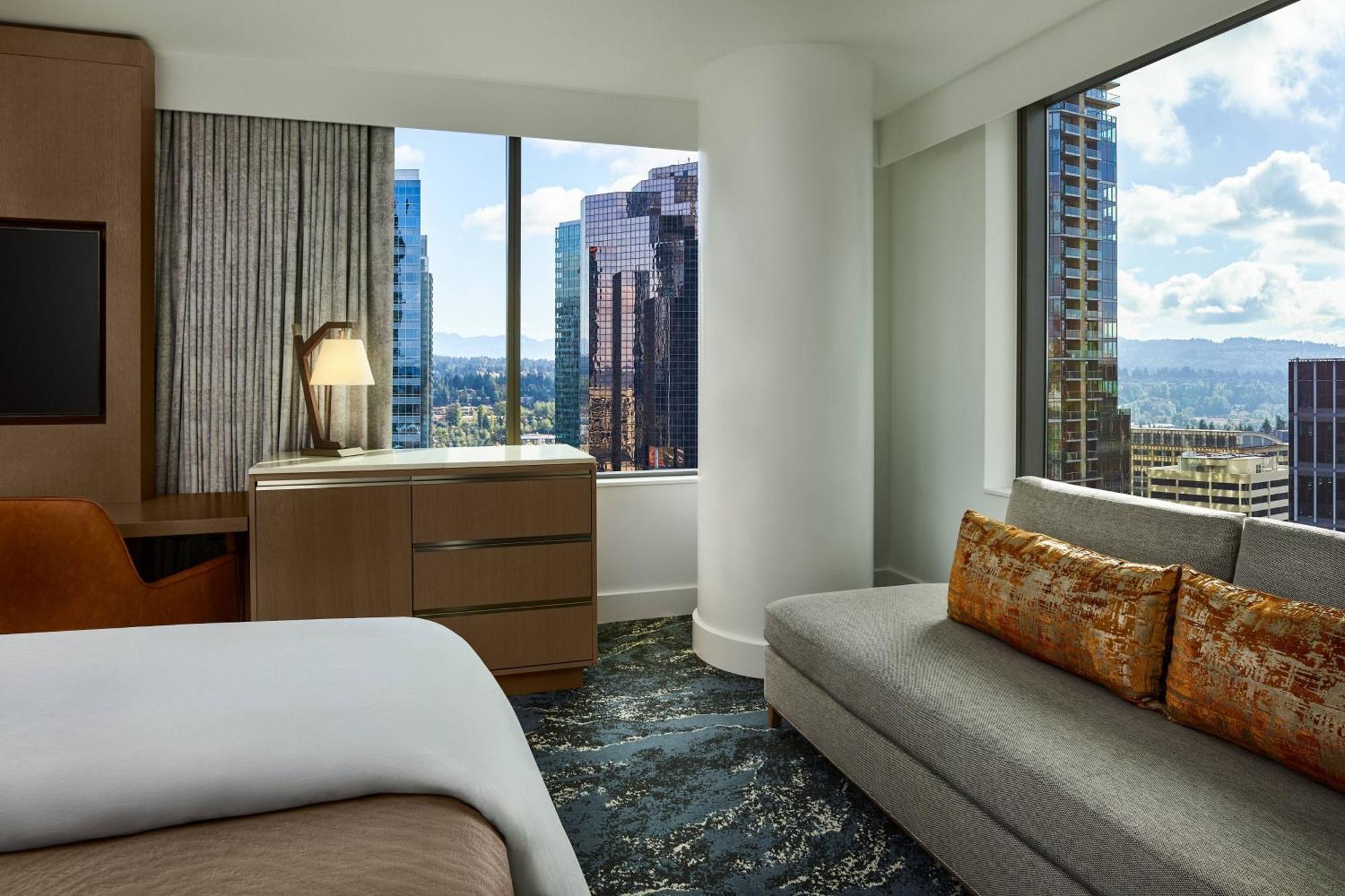 Deluxe View Guest room 1 King City view