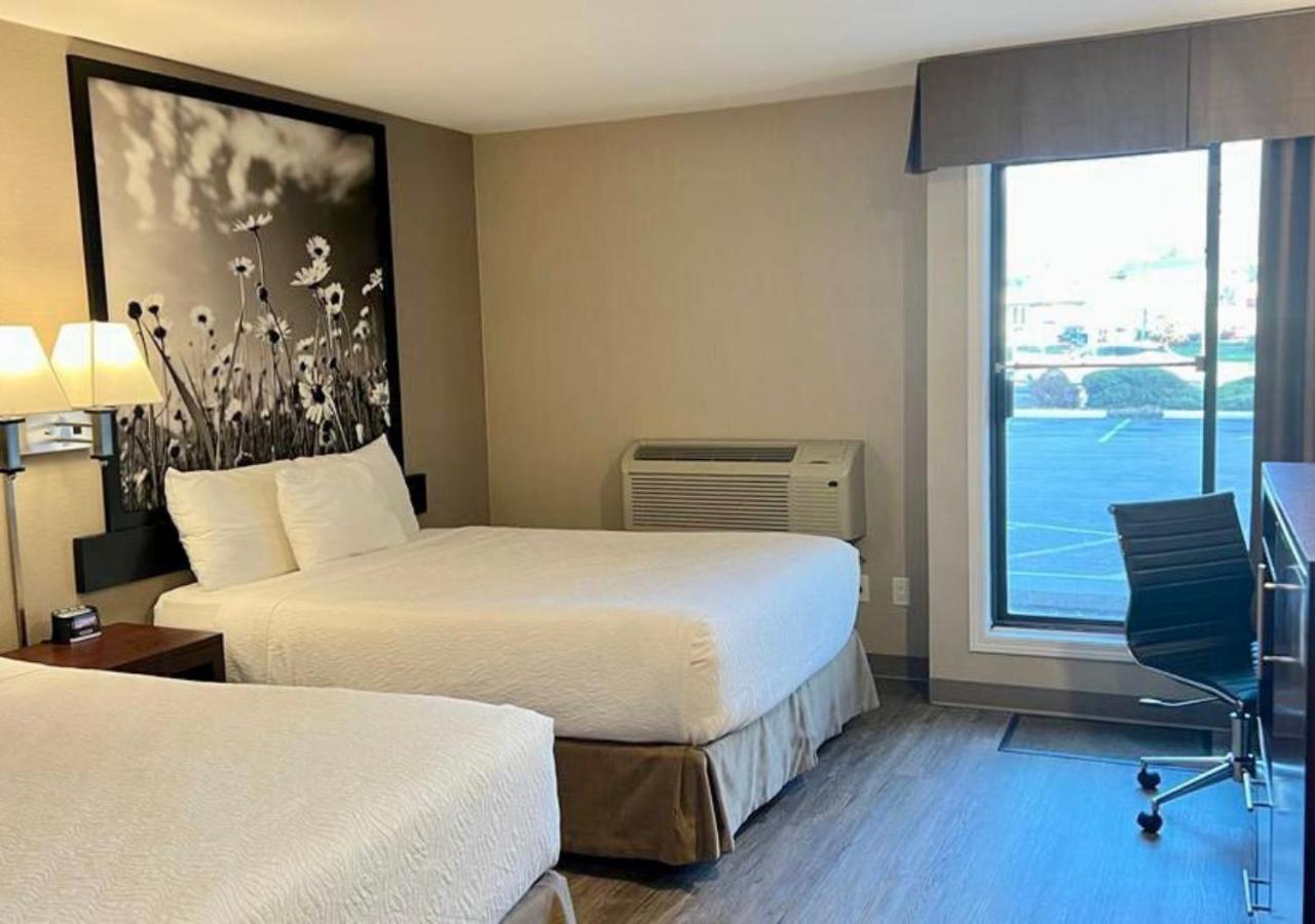 Queen Room Two Queen Beds Non Smoking Pet Friendly,1649023666:JPEG