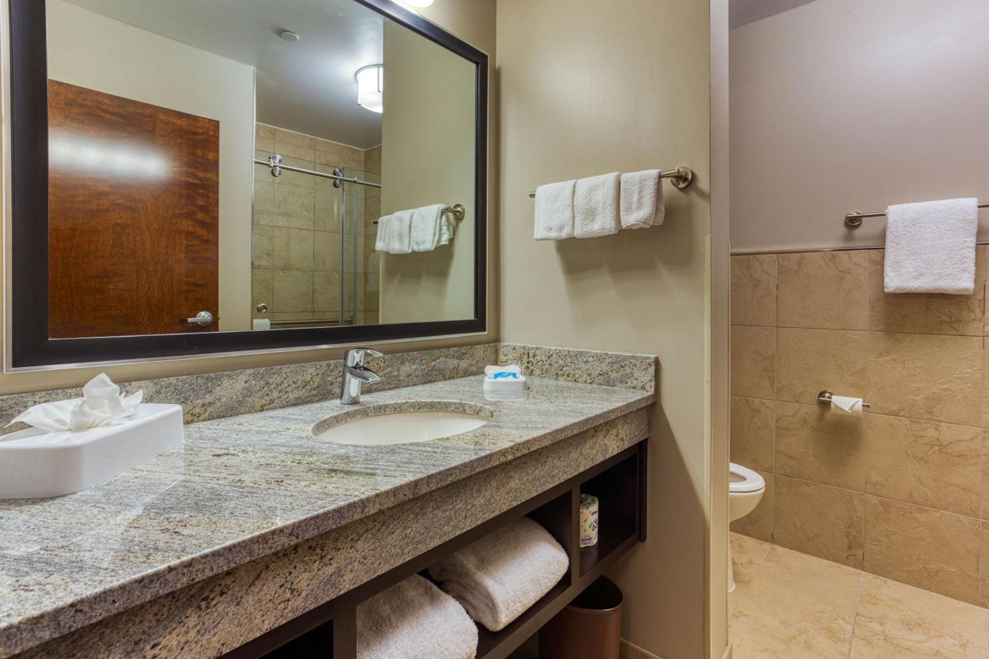 Deluxe King Suite