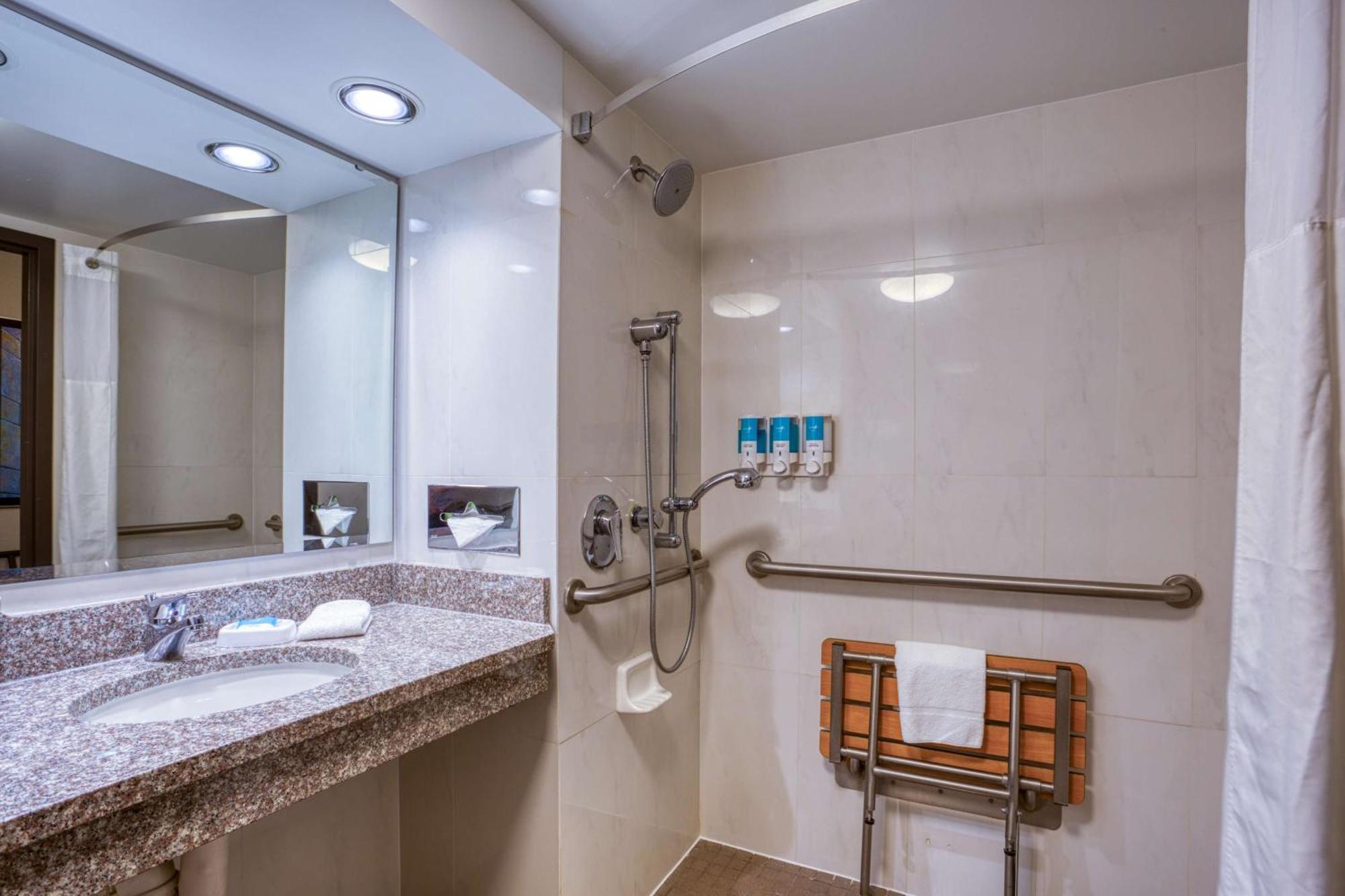 Deluxe King Room - Accessible, Roll-in Shower