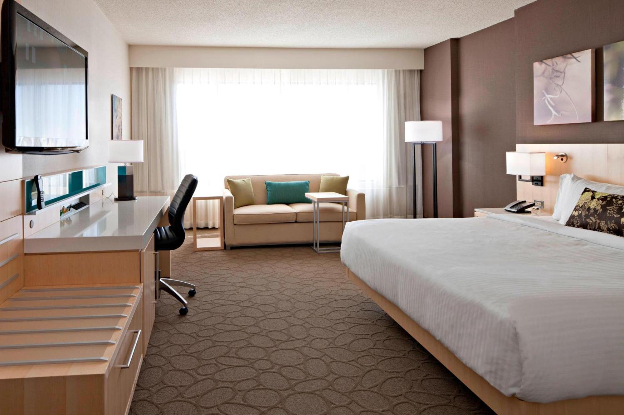 Deluxe, Larger Guest room, 1 King, Sofa bed,1706345443:JPEG