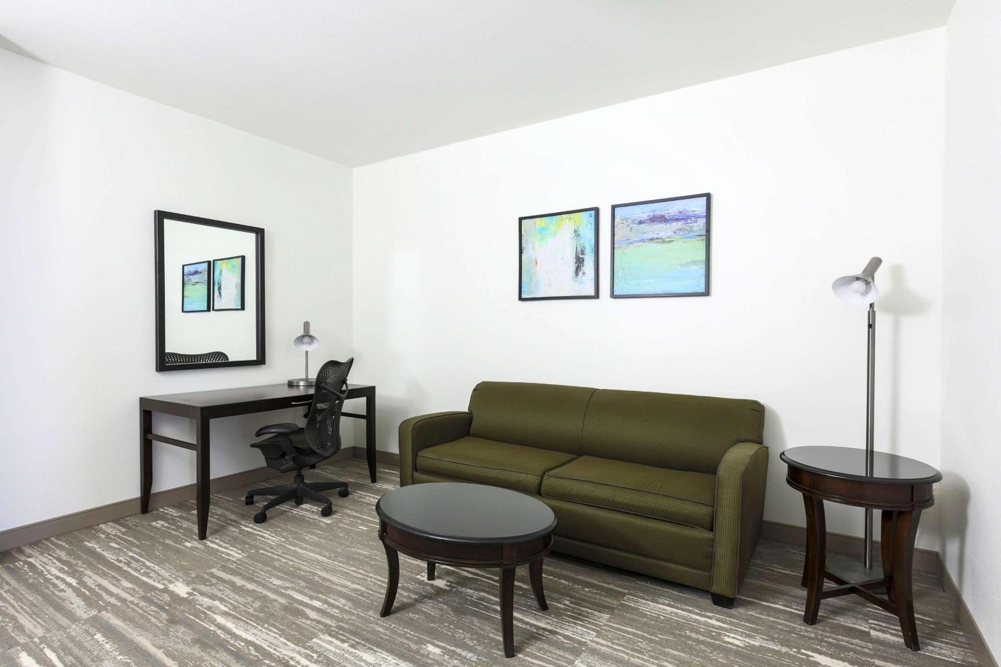 One-Bedroom King Suite