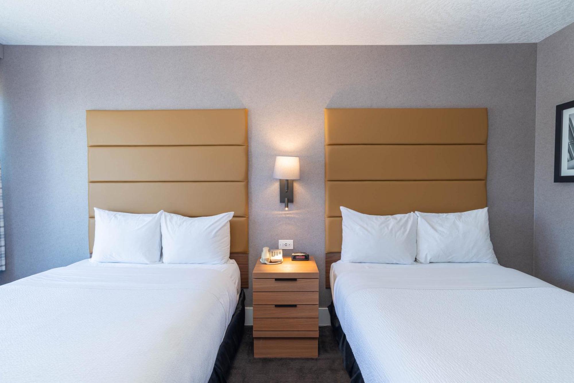 Standard Room, 2 Double Beds