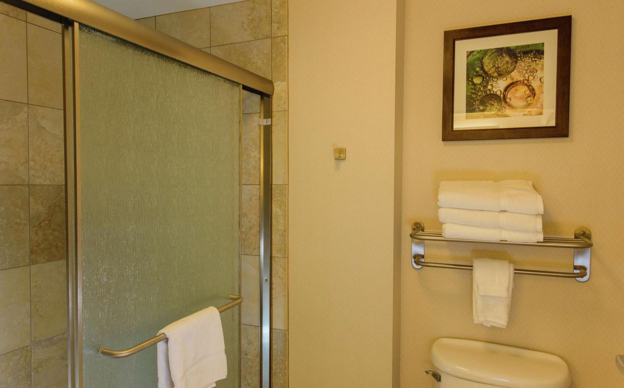King Studio Suite Non-Smoking