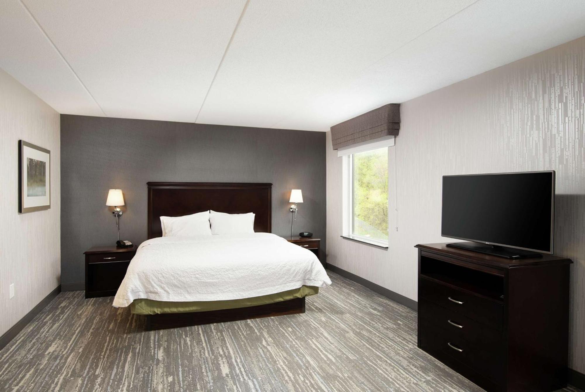 King Studio Suite with Sofa Bed - Non-Smoking