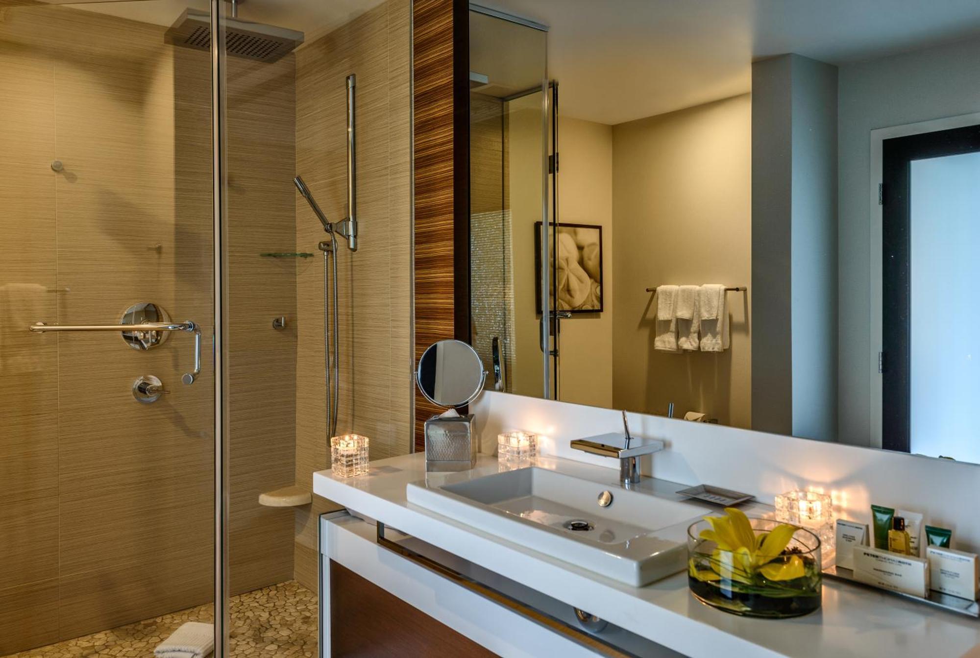 Premium King Suite Mountain View