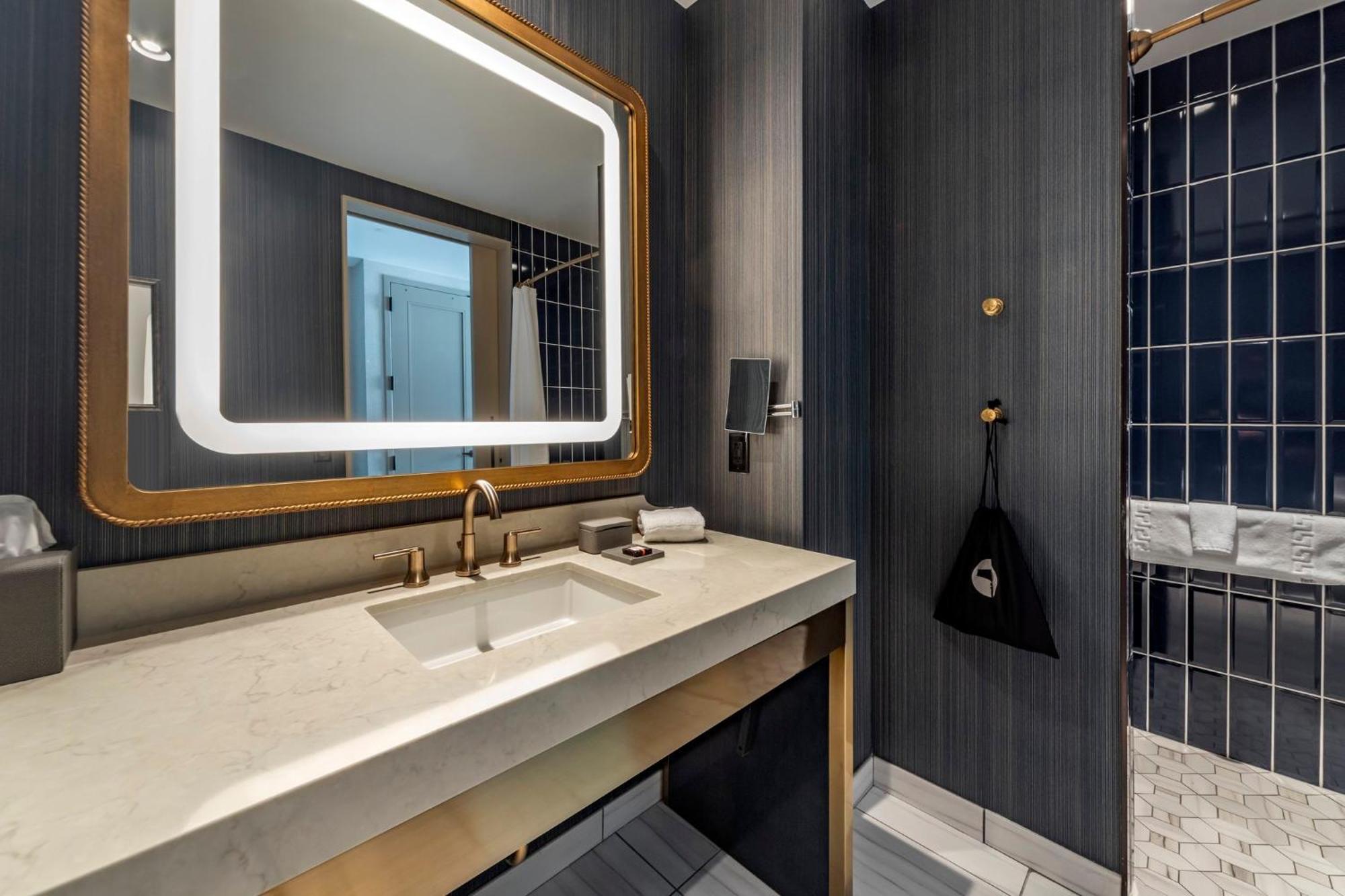 Accessible Deluxe Room Roll Shower King Bed