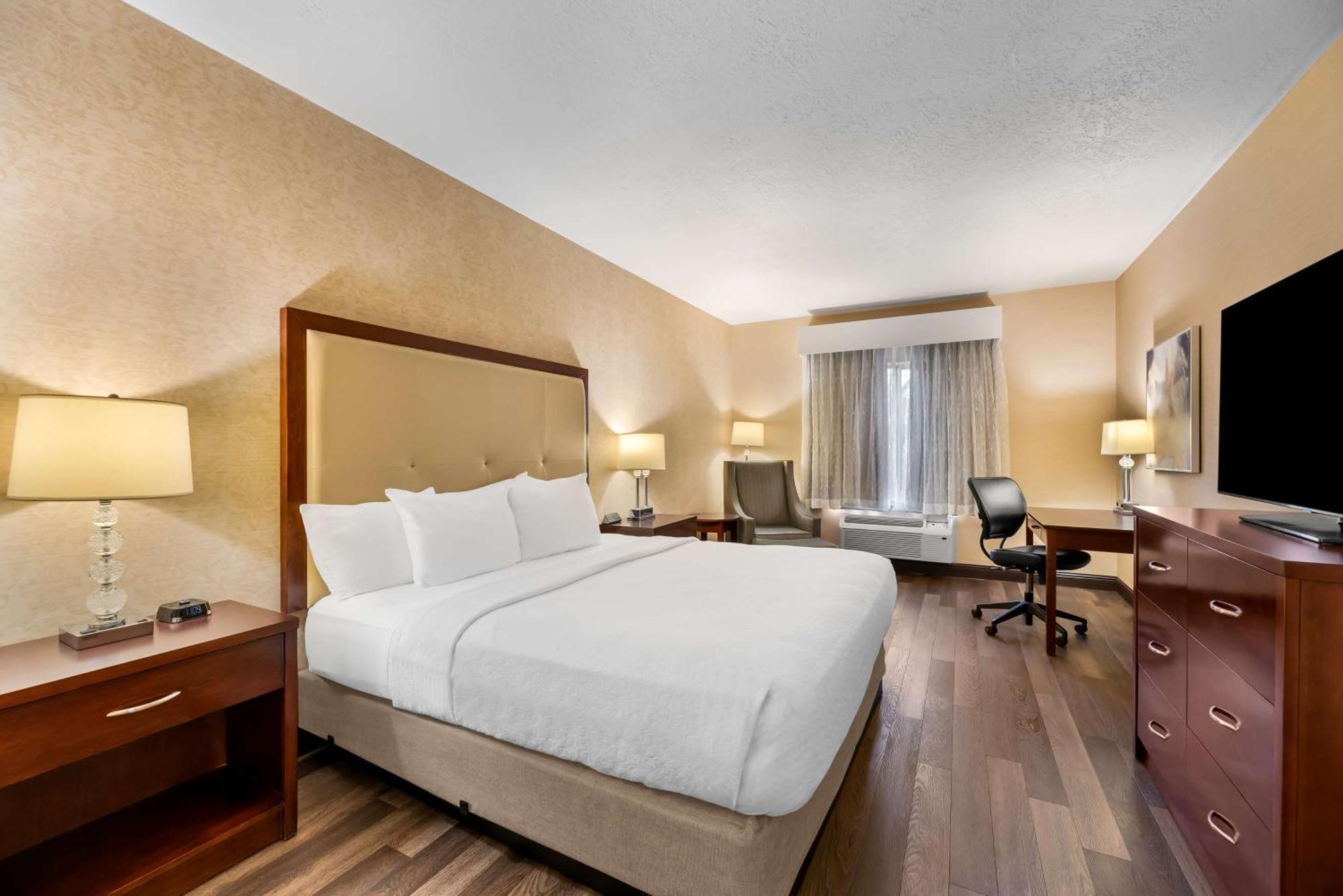 King Room - Pet Friendly/First Floor