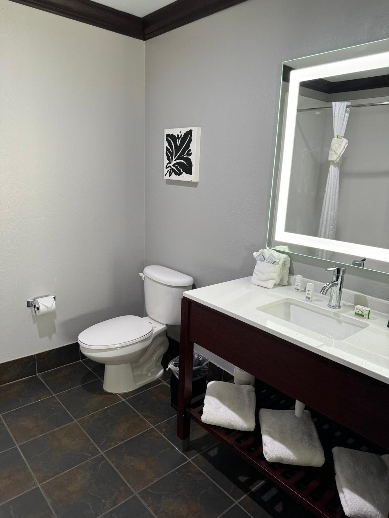 Studio Suite with Two Queen Beds - Non-Smoking
