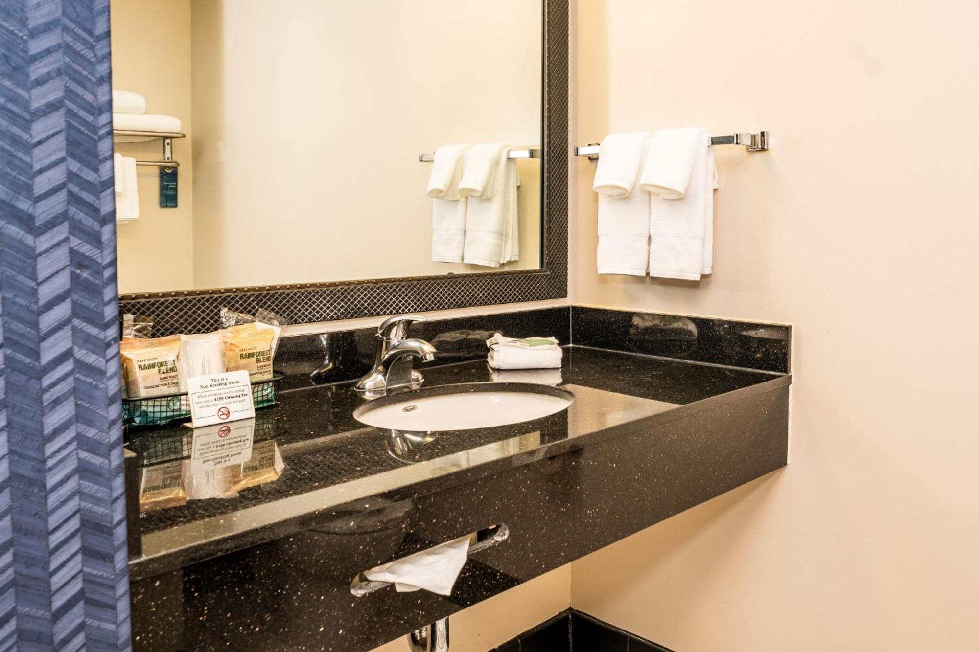 King Suite with Bathtub and Sofa Bed - Mobility Access/Hearing Accessible