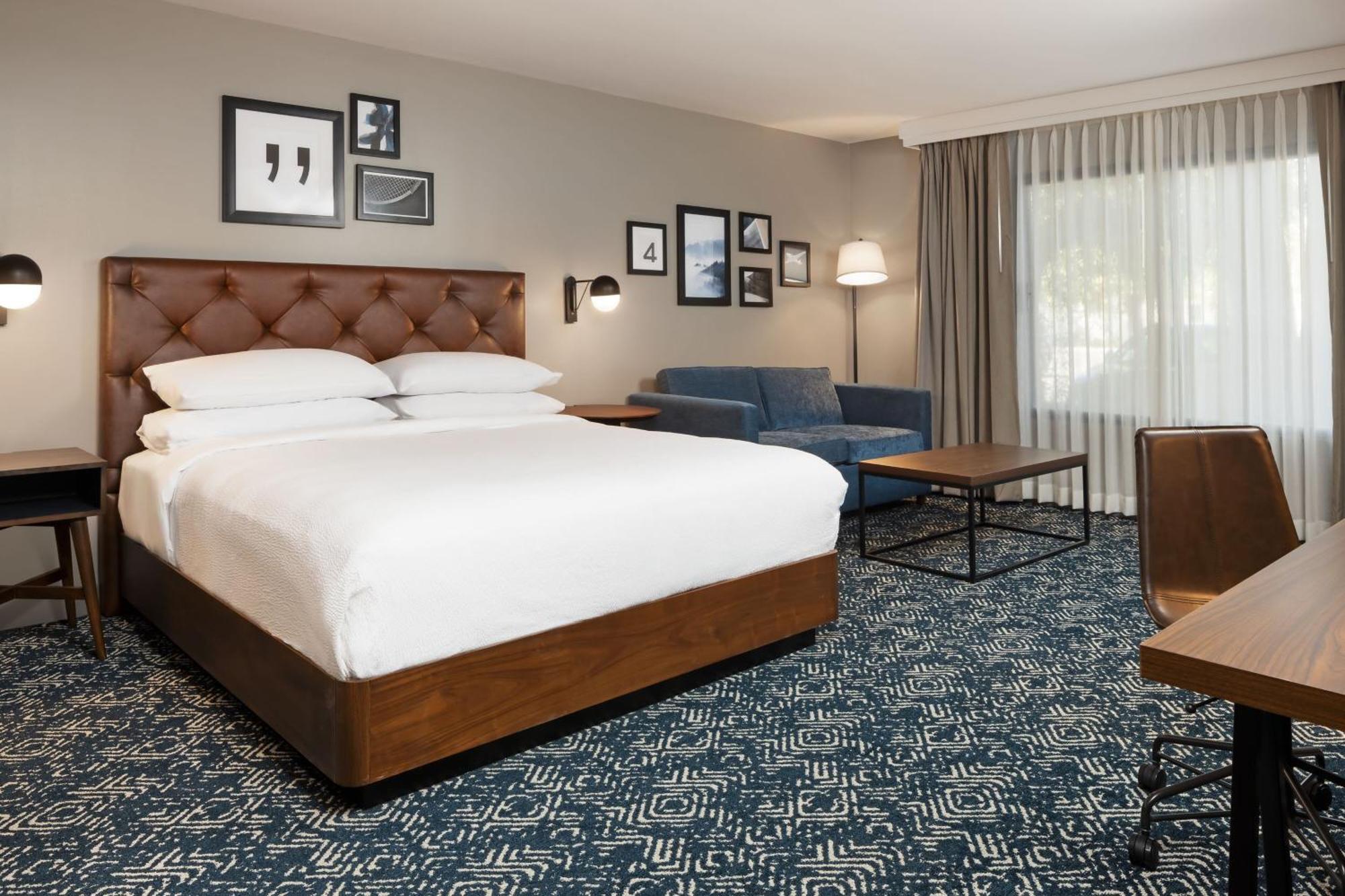 Traditional, Guest room, 1 King, Sofa bed