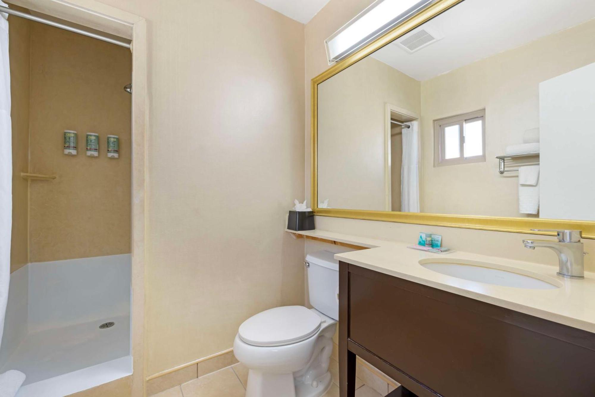 Queen Room with Bath Tub - Mobility Accessible/Non-Smoking