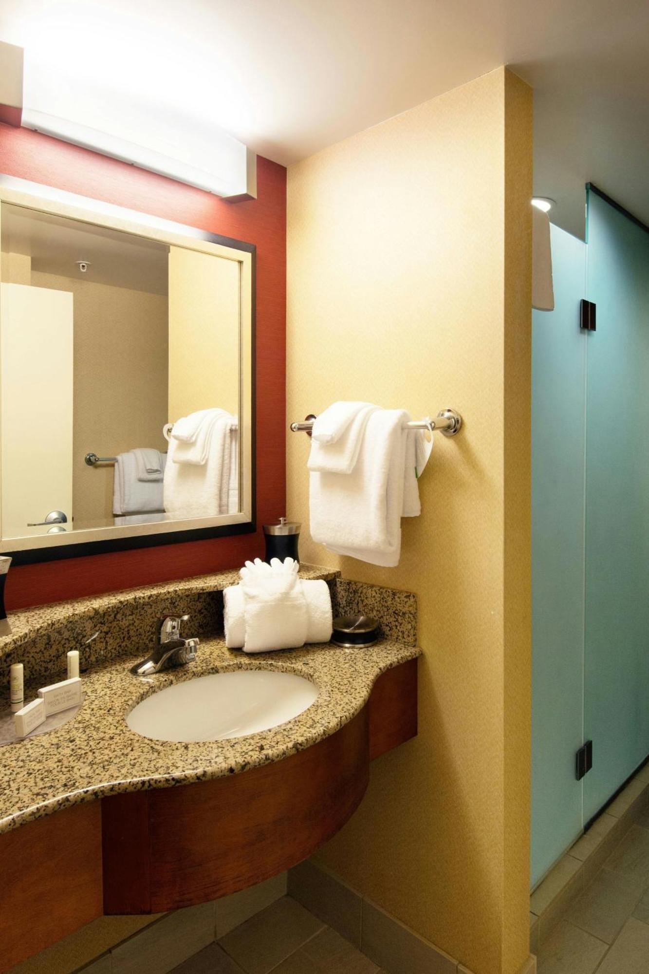 King Room Roll Shower Sofa Bed Mobility Access or Hearing Accessible
