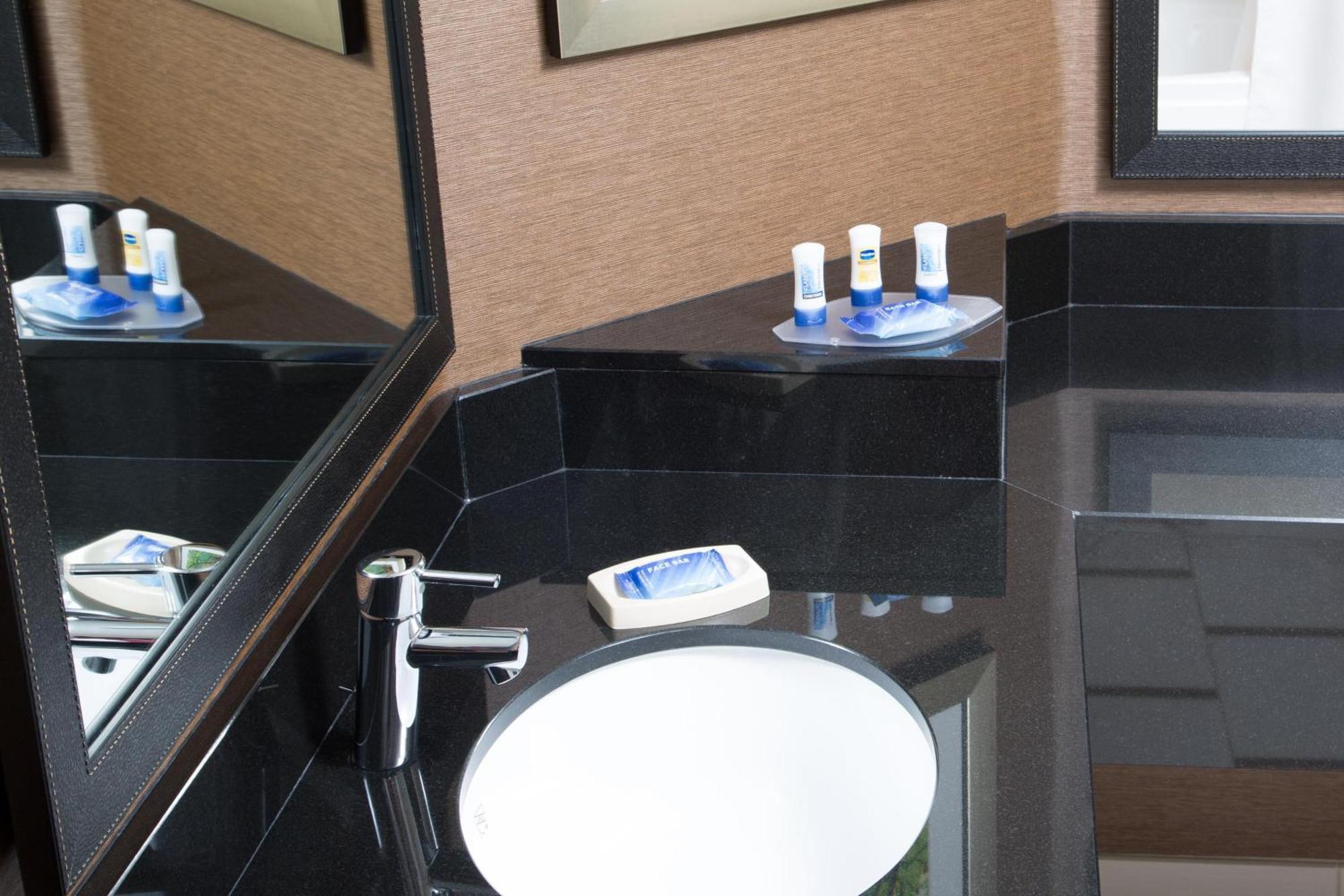 King Suite with Bathtub and Sofa Bed - Mobility Access/Hearing Accessible