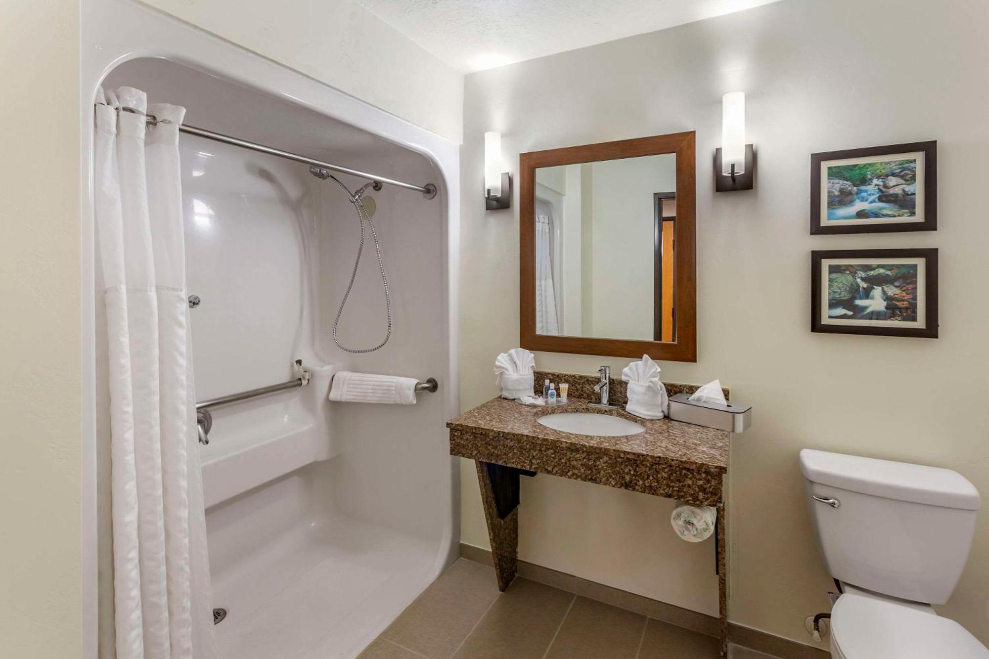 Efficiency King Suite Non-Smoking or Pet Friendly
