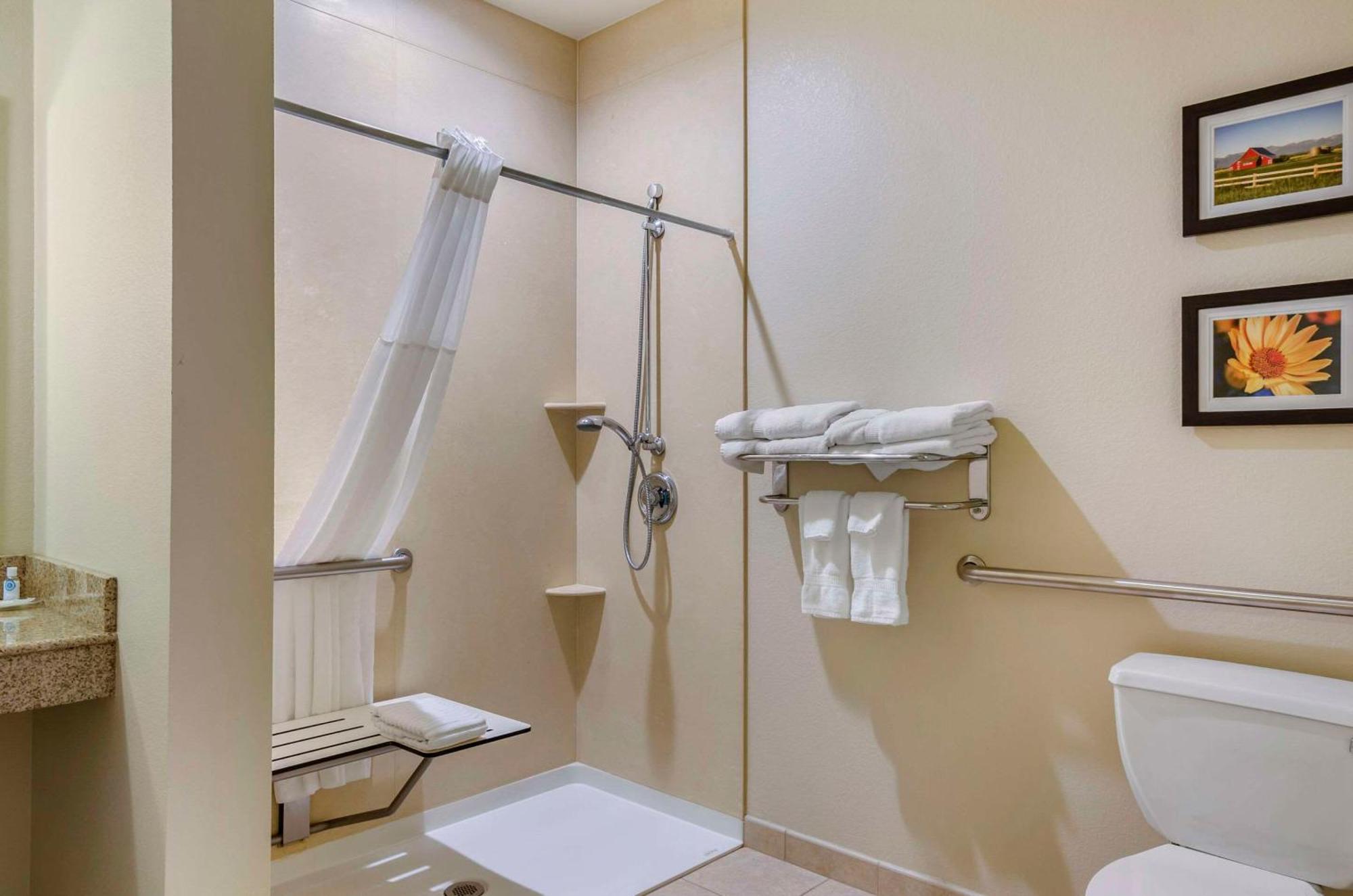 Standard King Suite with Sofa-Bed and Bathtub - Accessible/Non-Smoking