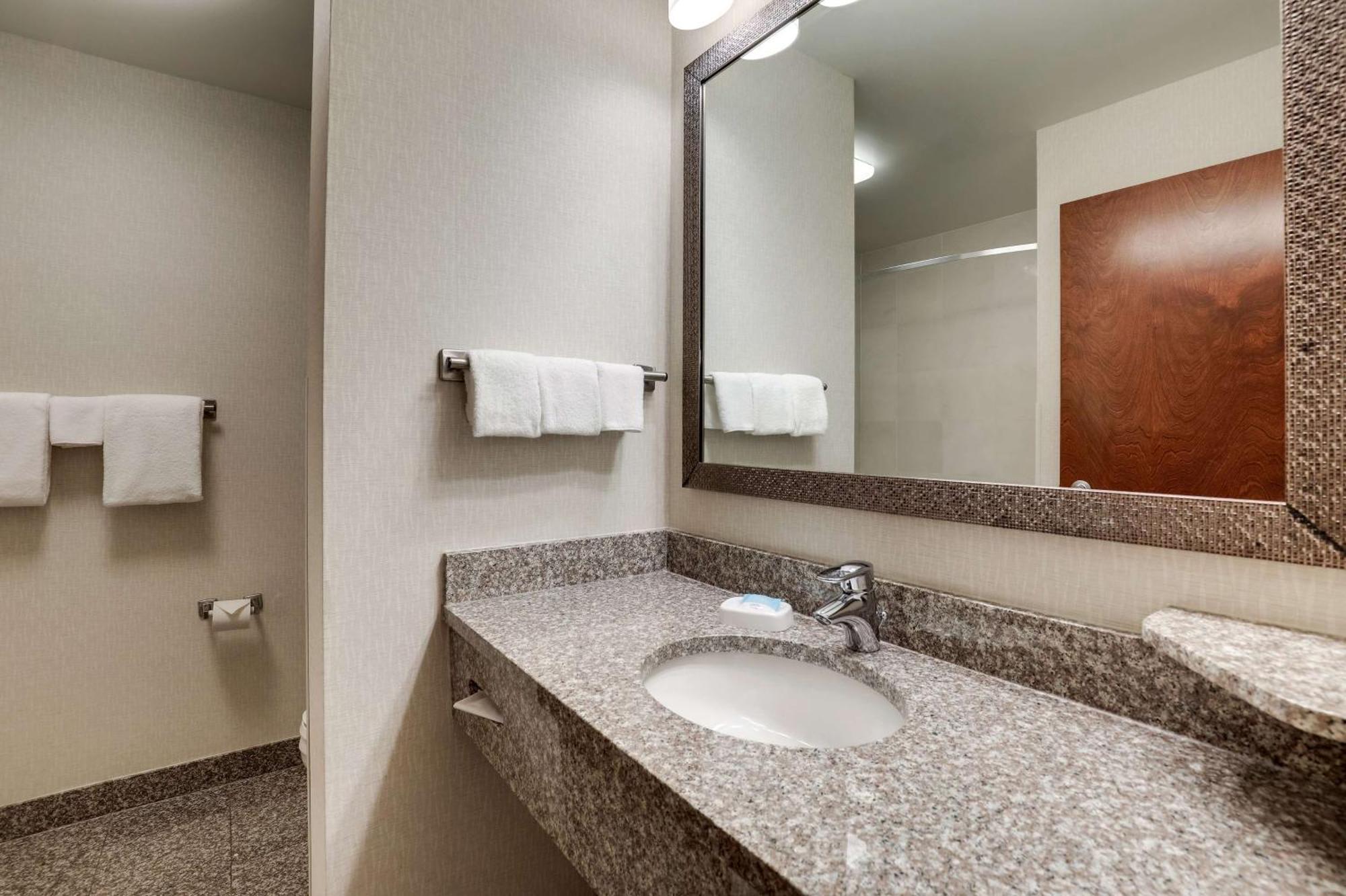 King Suite with Sofa Bed