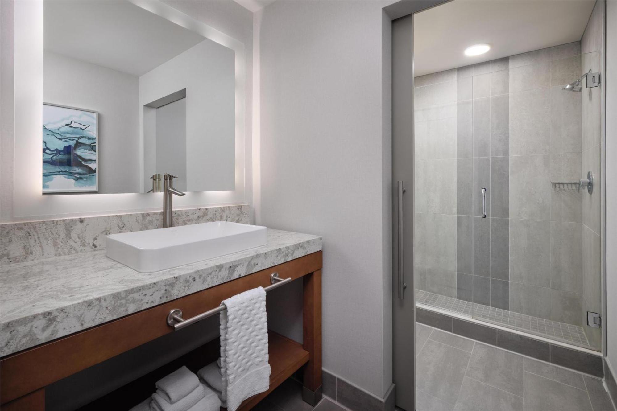 King Suite Sofa Bed Shower Only
