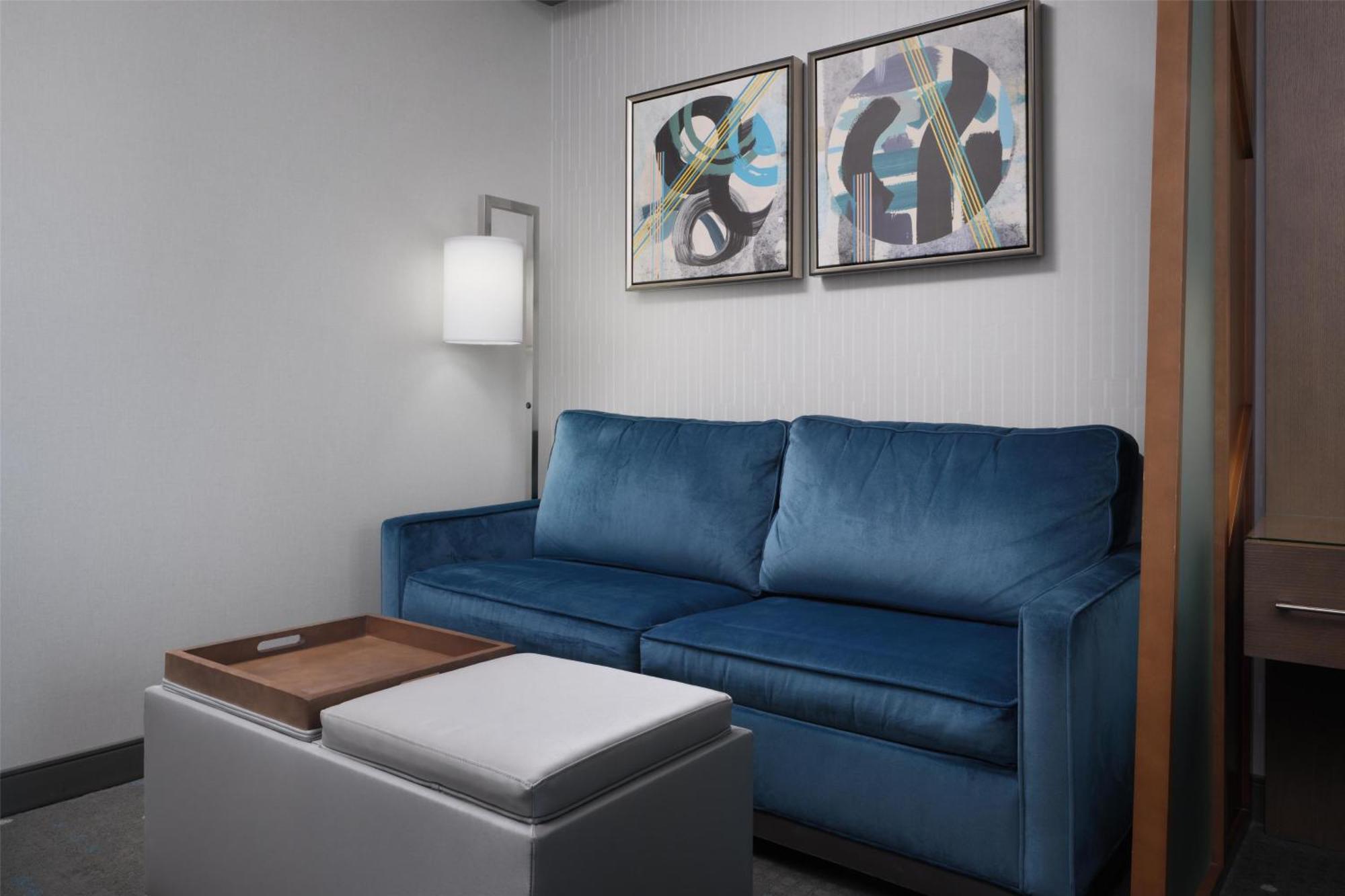 King Room Sofa Bed