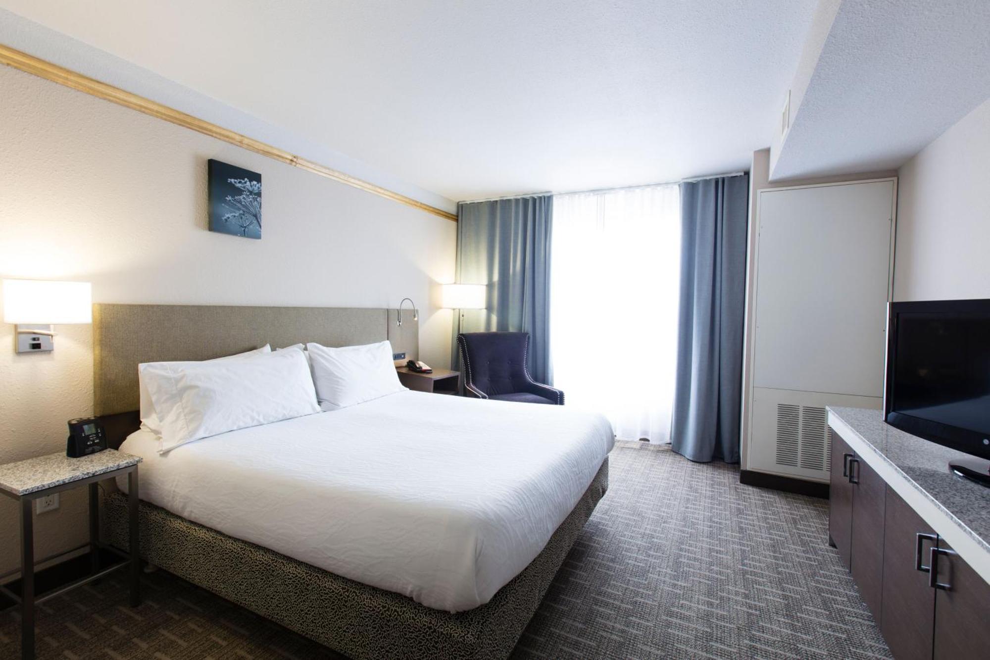 Junior King Suite with Sofa Bed
