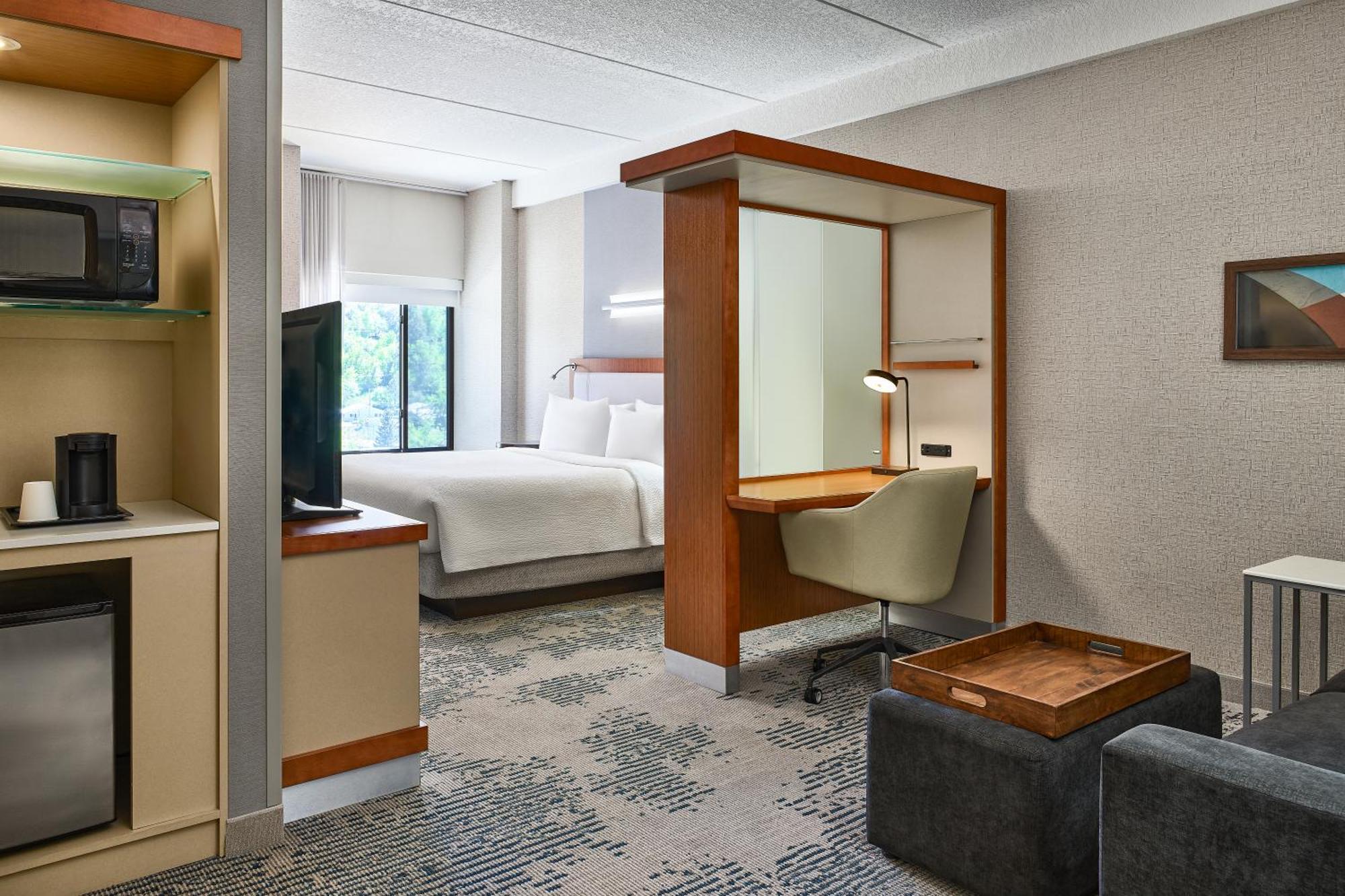 King Suite with Sofa Bed