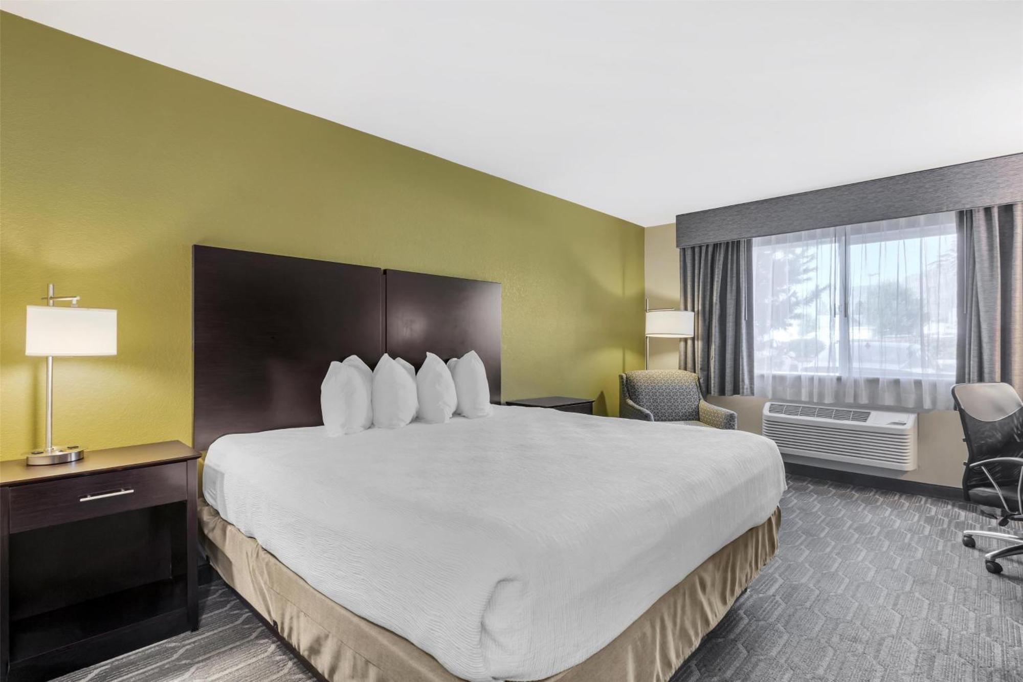 King Room