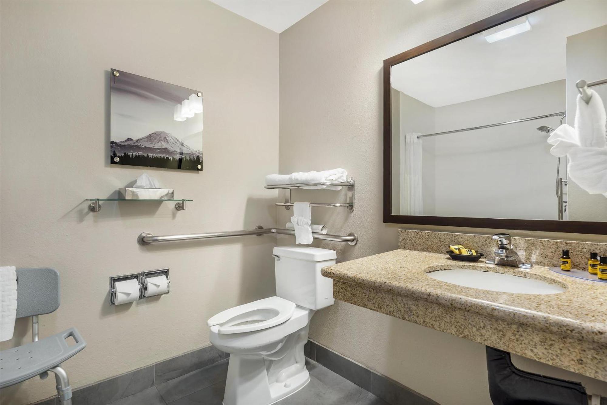King Room Roll Shower Disability Access or Non-Smoking