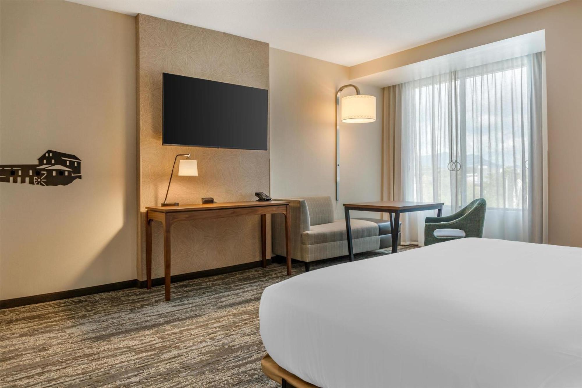 Deluxe King Room - Accessible, Roll-in Shower